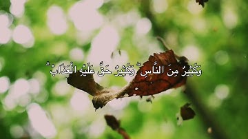 [الحج: ١٨] القارئ: ياسر الدوسري