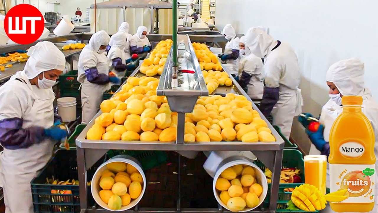 Why Miyazaki Mangoes Are So Expensive | So Expensive Food | Business Insider