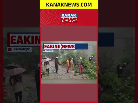 Rain Fury In Koraput: Giant Tree Crushes House At Midnight, 2 Critical!