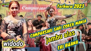 JAMBU ALAS//CAMPURSARI COKEK  MANIA,TRI BUANA