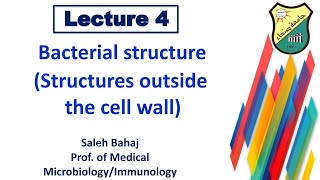 4- Bacterial structure Outside the cell wall