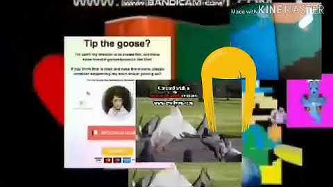 Unbojih software add round 5