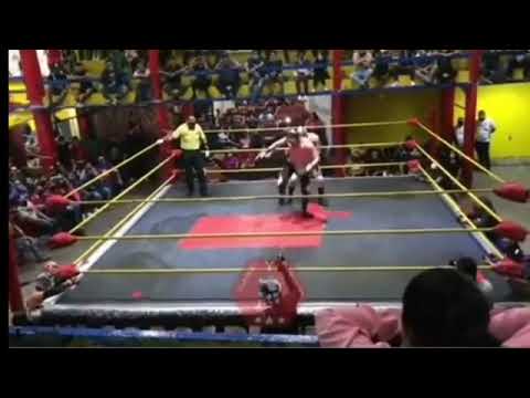 موت مصارع على الحلبه