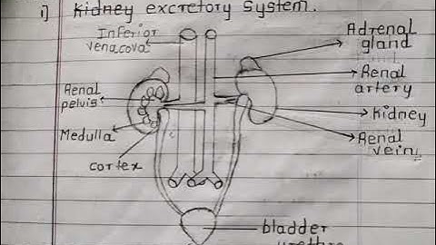 10th class bridge course (setu abhyaskram) Science part 2 day 5 worksheet 5 in English language