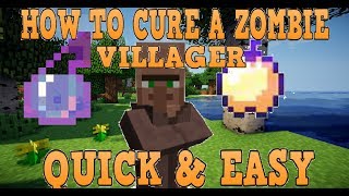 How To Cure A Zombie Villager Minecraft