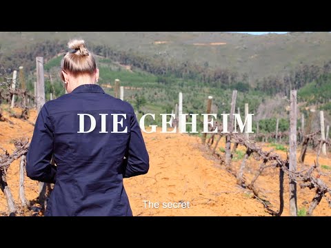 Video: Kan cabernet sauvignon kylas?