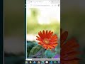 HTML Image Tag & Alt Attribute Tutorial