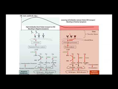 Cerebral Folate Deficiency in Autism   V  Ramaekers MD, University of Liege & Aachen @Synchrony2020