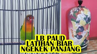 How To Train Birds To Chirp Longer By Memorizing Sound From Bird Voice Recording