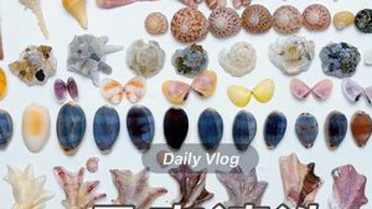 贝壳清洗 解压洗贝壳视频来啦，滋啦滋啦~北海市区版，攒了可能有三个月都没洗，之前一直都洗海南贝和涠洲岛贝，今天来一期北海的，没有那么多彩就挑彩色的捡，尽力了