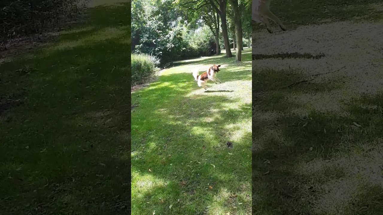 camera iphone 8 plus apk 5 juli 2017