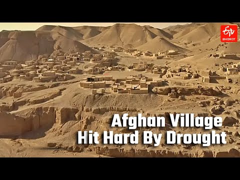 Afghanistan Village Hit Hard By Drought | Mud Brick Homes Western City of Herat | Kamar Kalagh