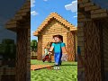 Minecraft Animasyon - Steve ve Alex ilk evlerini yapıyor