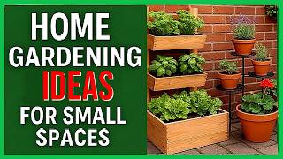 No Backyard? 10 Small Space Gardening Ideas That Actually Work!