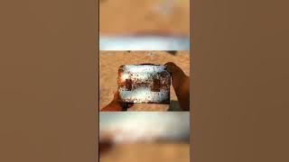 Grizzly's ancient chocolate treasure! 🍫 | Grizzy and the Lemmings | #shorts #cartoons #animation