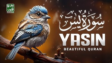 Blissful Recitation of Surah Yasin (Yaseen) سورة يس to Stir Emotions 🔥 | Best new tilawat
