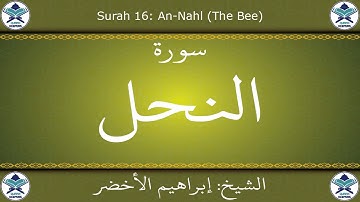 القرآن الكريم بصوت إبراهيم الأخضر - سورة النحل