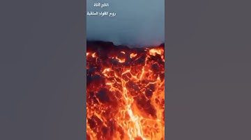 القارئ يسلم بن وبر
