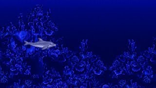 Ecco the Dolphin in a nutshell @skapbadoa