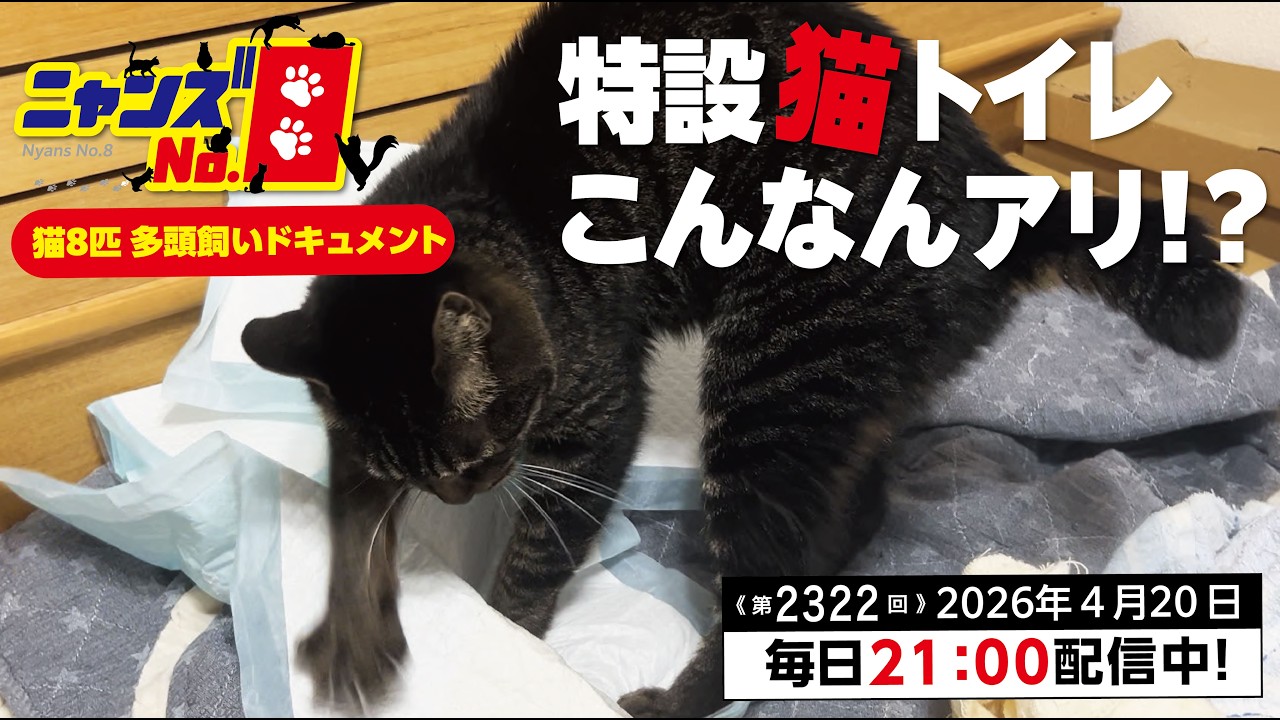 kitty様❾❻ Kitty Ford - Pussycat CD