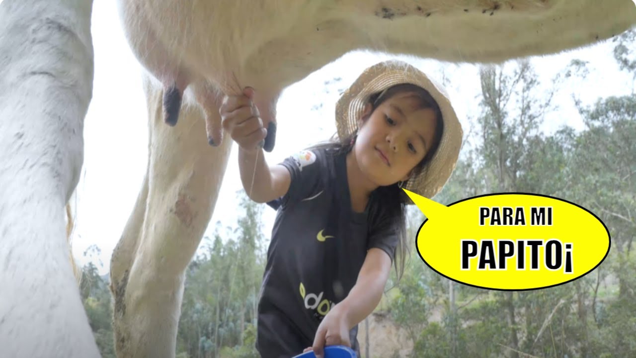 Esta pequ3ña rob4ba leche de la vaca de su vecina para dar a su papito