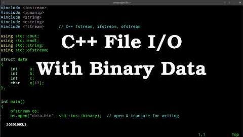 C++ Binary File I/O