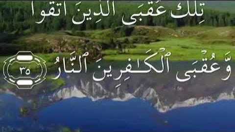 سورة الرعد صفحة ٢٥٤ سعد الغامدي مكتوبة مكررة