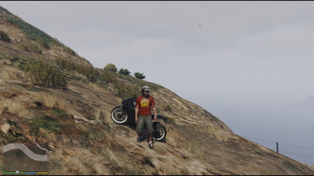 GTA 5 Part 706 Chicken Hawk And Great Cormorant Wildlife 