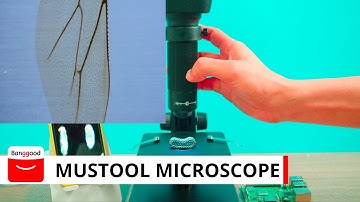 Mustool Digital Microscope preview | for soldering work or observation of jewelry, etc. | Dual Lense
