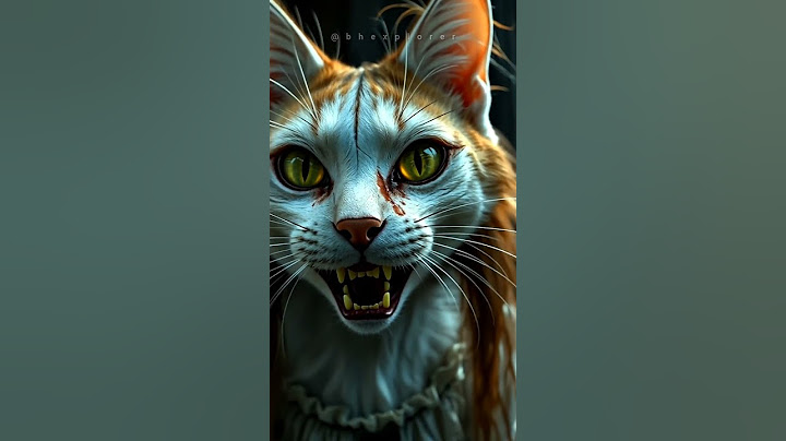 The Meow Scary Cat 🐈😨 #cat #cats #catlover #pet #pets #petlover #animation #ai #ghost #scary