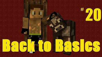 Back to Basics Ep.20 | Vanilla Minecraft 1.8 | Goals