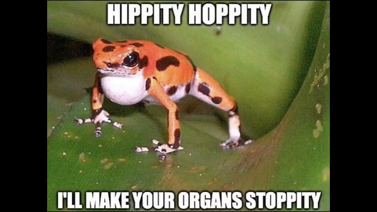 ★froggos because I matter★