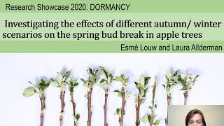 Effects of different autumn/ winter scenarios on the spring bud break in apple trees. (L Allderman)