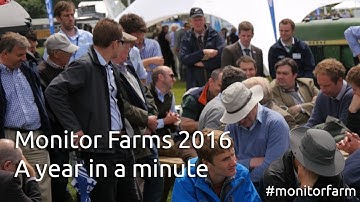 Monitor Farms 2016: a year in a minute