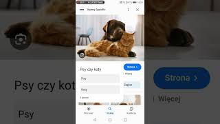 Co wolisz#1