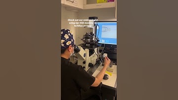 Watch an ICSI procedure!