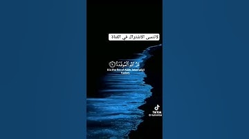 القارئ إسلام صبحي قرآن كريم حالات واتس آب راحة نفسية 💚