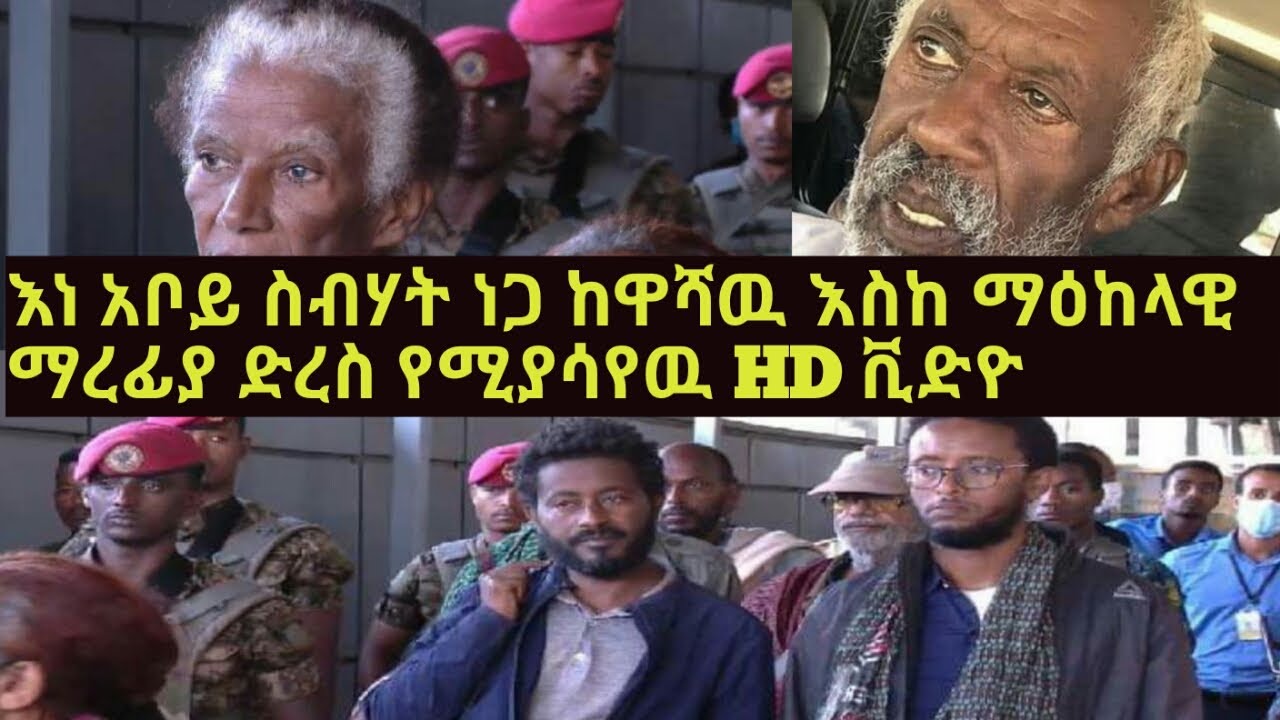 Ethiopia/Ethiopia News/Ethio Fact/Donkey Tube/Ethiopian News /Ethiopian Music/Ethiopia War/Zehabesha