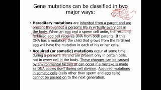 Bio 111 Chap 9. DNA structure and replication Part 3. Mutation