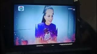OBB Hot Kiss 2024 2025