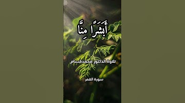 سورة القمر الآية 23إلى24                            #قرآن #قرآن #قرآن #قرآن #قرآن #قرآن #قرآن #قرآن