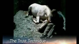 Trust Technique- Spot Snippet