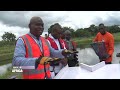 Made in africa  tilapia quand llevage prend son envol reportage