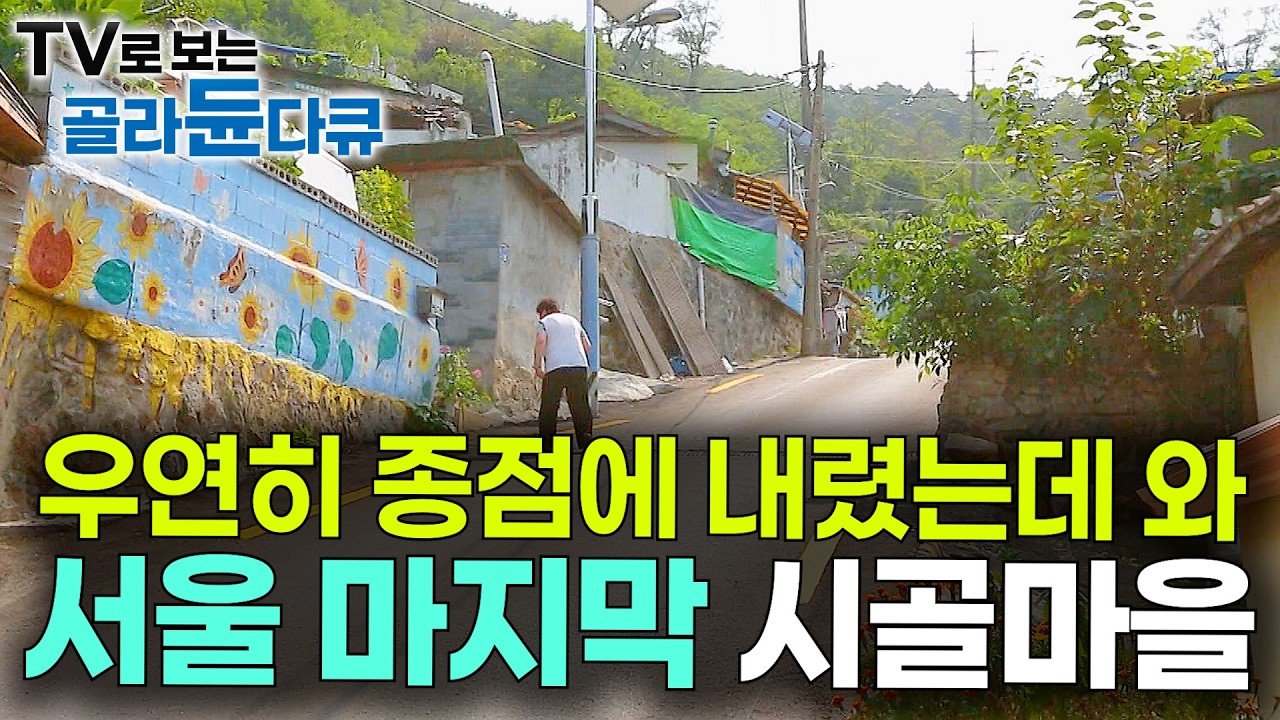 서울 한복판 믿을 수 없는 광경. 여전히 도시가스 없는 미개발 시골 마을이 펼쳐졌다｜개미 마을｜한국기행｜#골라듄다큐