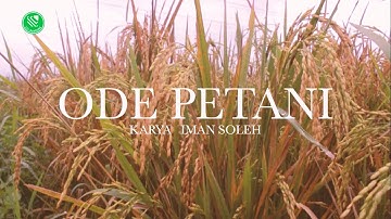 ODE PETANI - CELAH-CELAH LANGIT BANDUNG (Official Music Video)