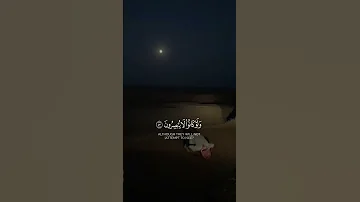 افانت تهدي العمي ولو كانو لا يبصرون تلاوة خاشعة 
