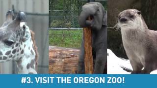 Spring Break in Oregon!