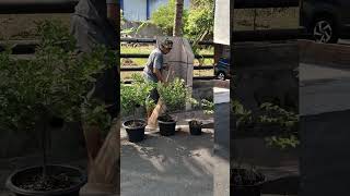 Rutinitas setelah pensiu