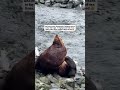 👇wildlife viewing without the $1,000 price tag ➡️Send this post to someone who would love to see