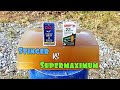 CCI Stinger vs Aguila Super Maximum .22LR Ballistic Gel Test